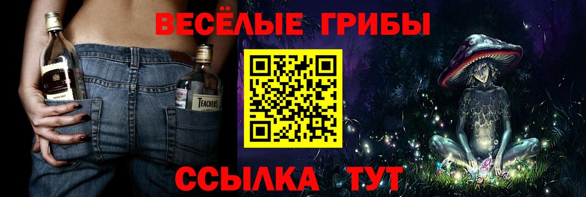 Псилоцибиновые грибы Magic Shrooms  Вход с VPN  Гудермес  Галлюциногенные грибы GOLDEN TEACHER 