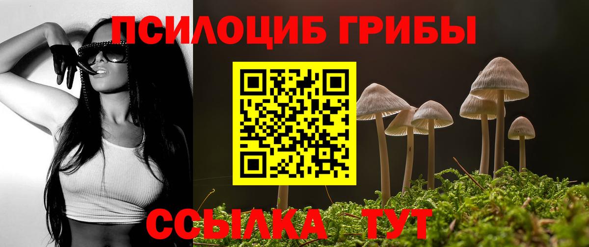 Галлюциногенные грибы Cubensis Гудермес